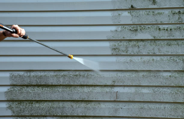 Best Driveway Pressure Washing  in Fairview Park, IN